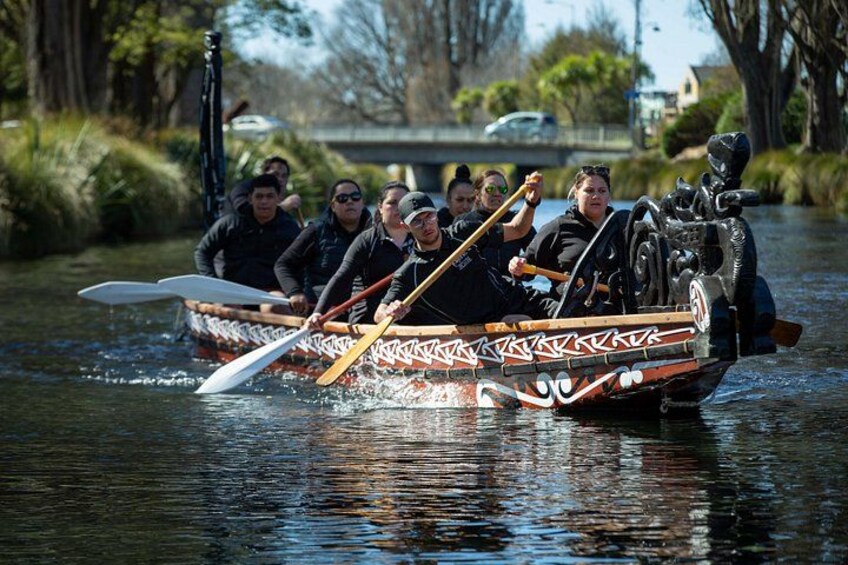 Waka Paddling on the Avon River 2