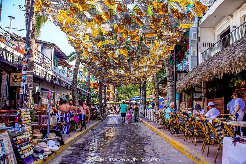 Picture 12 for Activity Sayulita & San Pancho: Private Trip from Puerto Vallarta 2