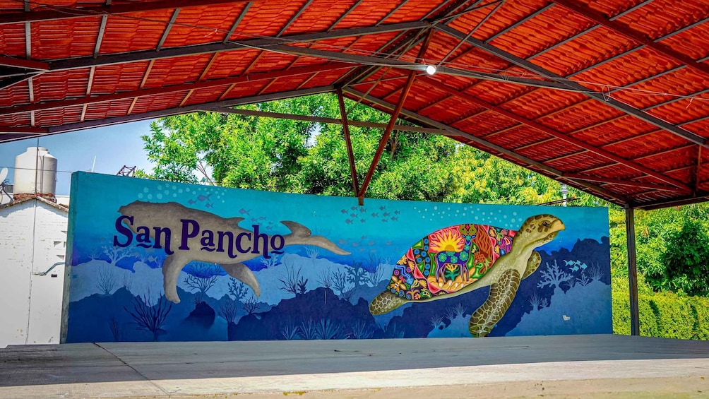 Picture 24 for Activity Sayulita & San Pancho: Private Trip from Puerto Vallarta 3