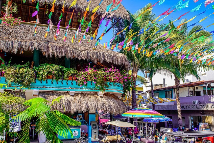 Picture 2 for Activity Sayulita & San Pancho: Private Trip from Puerto Vallarta 3