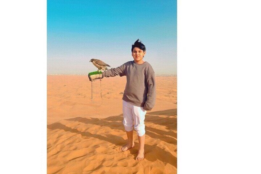 A person holding a falcon in a desert. 1