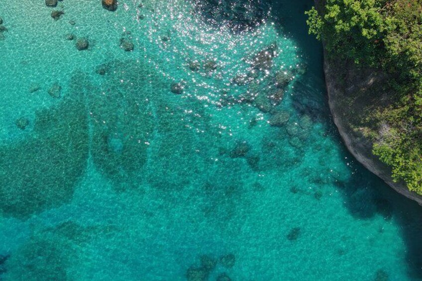 Snorkel & Epic Boat Ride to Los Arcos Sanctuary 4