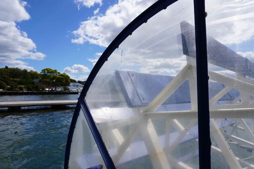Picture 4 for Activity Rotorua: Lake Rotorua Cruise 4