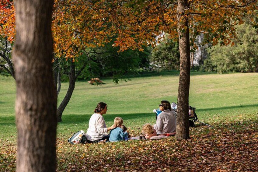 A group of people sitting on a blanket under a tree in a park. 2