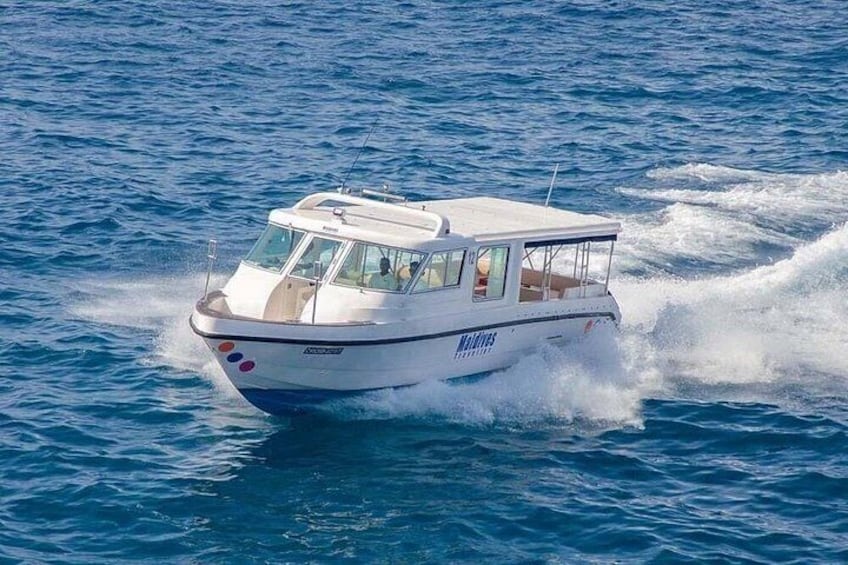 Maldives: Swim with Stingrays & Explore 3 Unique Snorkeling Sites 3
