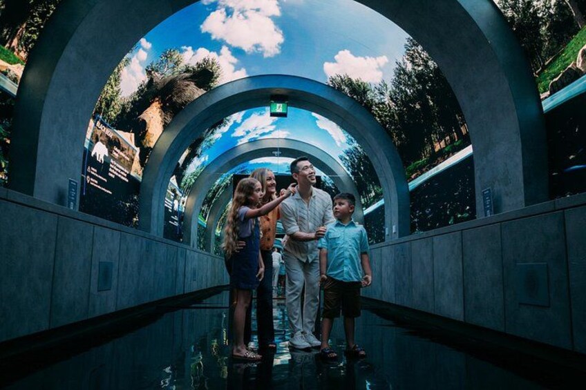 Arcadia Earth Toronto Admission 1