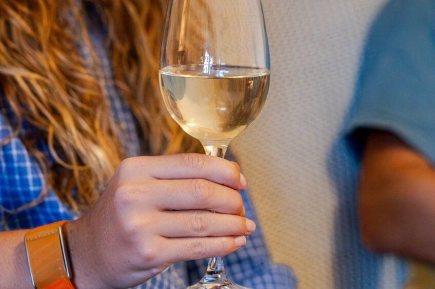 Home-hosted Wine Tasting in Vienna 2
