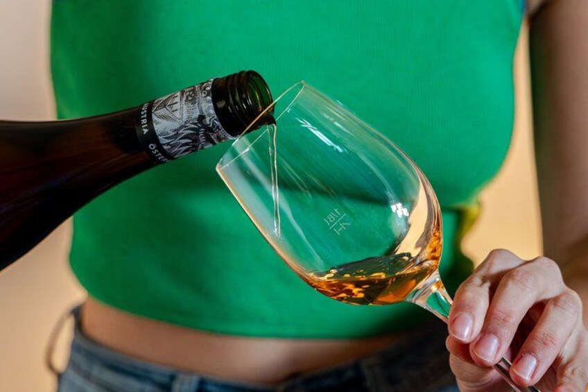 Home-hosted Wine Tasting in Vienna 4