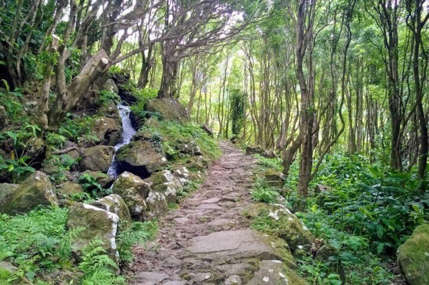 4h Tour on Flores Island – D. JuliaTours 3