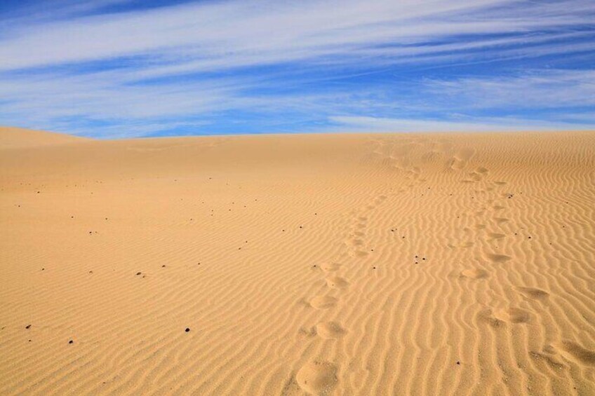 Un vaste paysage désertique, avec des dunes de sable ondulées et un ciel bleu dégagé. 2