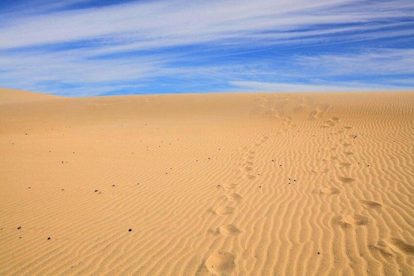 Un extenso paisaje desértico con dunas onduladas bajo un cielo despejado. 2