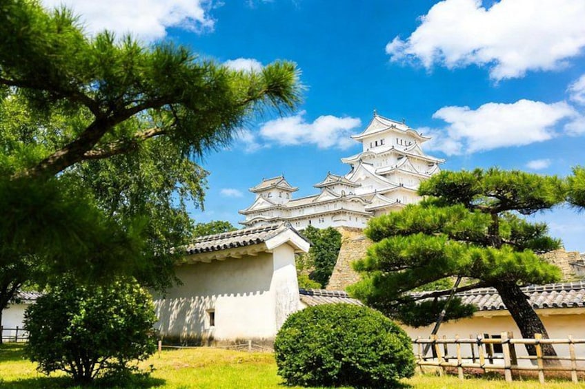 Un castillo japonés tradicional con paredes blancas y varios niveles, rodeado de exuberantes árboles verdes y un cielo azul despejado. 1