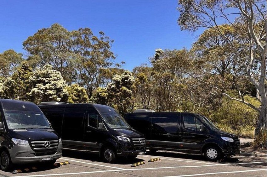 Blue Mountains Mercedes Tour: Scenic World, Falls & Leura 4