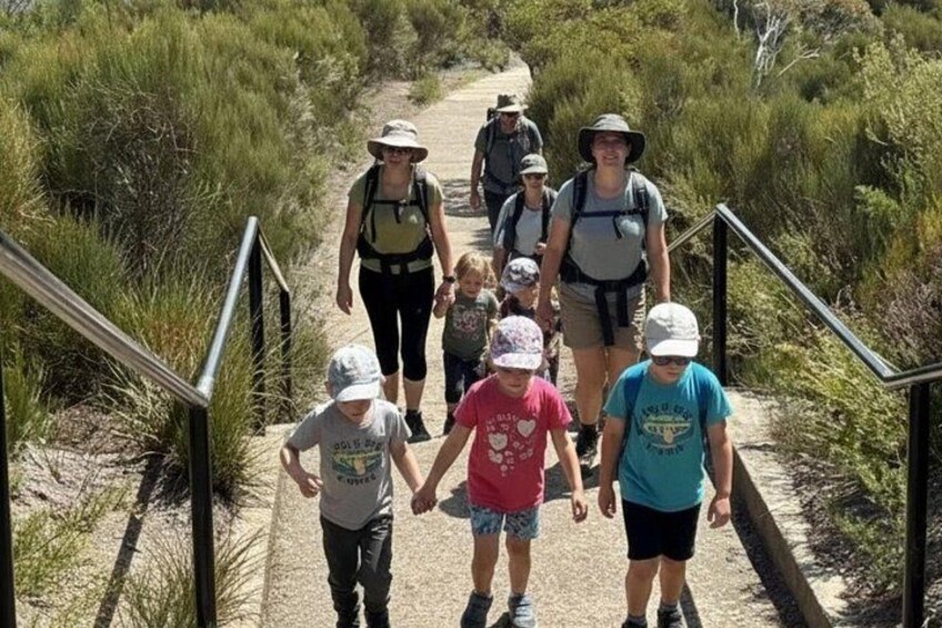 Blue Mountains Mercedes Tour: Scenic World, Falls & Leura 2