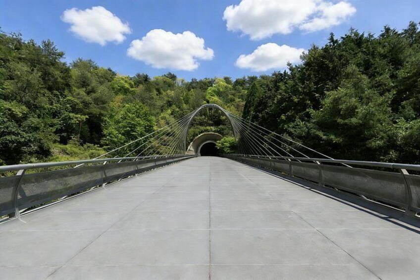 Art and Cultural Odyssey in Kansai Tour 2