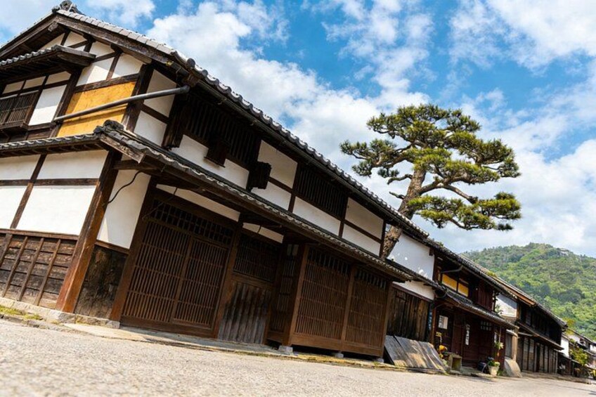 Art and Cultural Odyssey in Kansai Tour 2