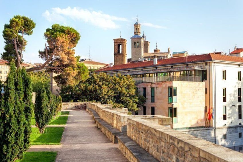 TOP Pamplona : Private Guided Tour with your mobile 5