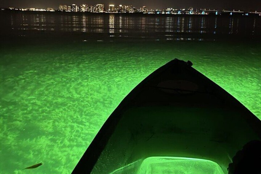 Exploring the shallow waters while admiring the Skyline