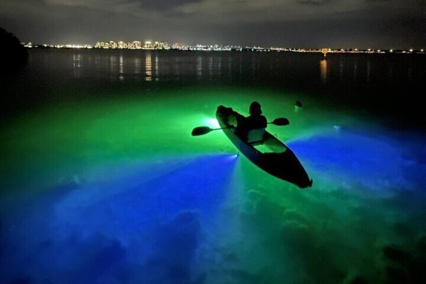 Awesome views of the Skyline of Sarasota and underwater!