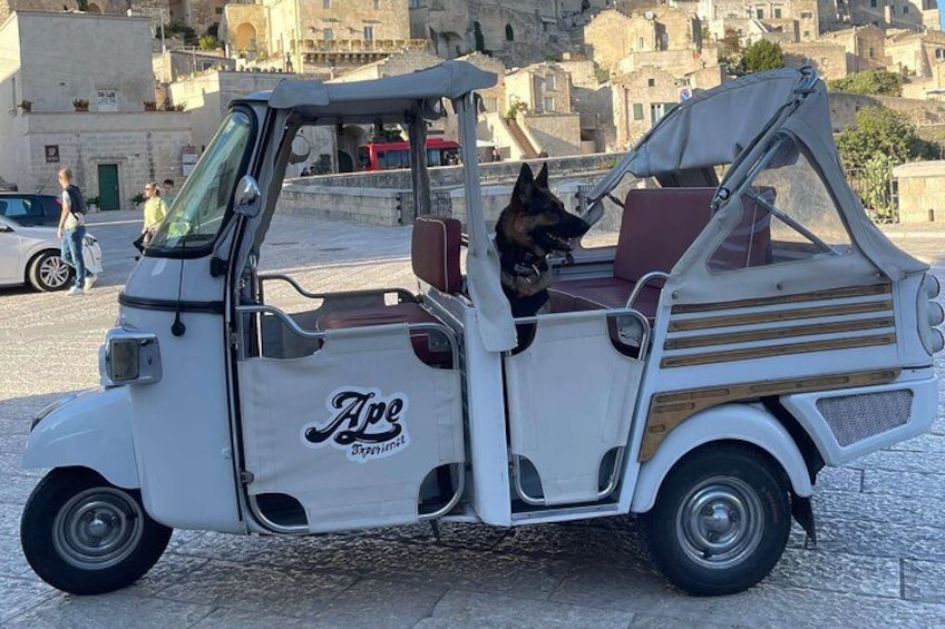 A white three-wheeled vehicle with a dog in the driver's seat, parked on a cobblestone street with buildings in the background. 3