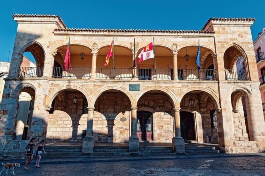 TOP Zamora : Private Guided Tour with your mobile 4