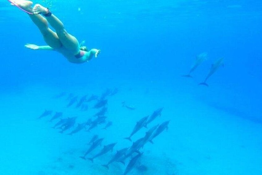 A person swimming underwater with dolphins. 2