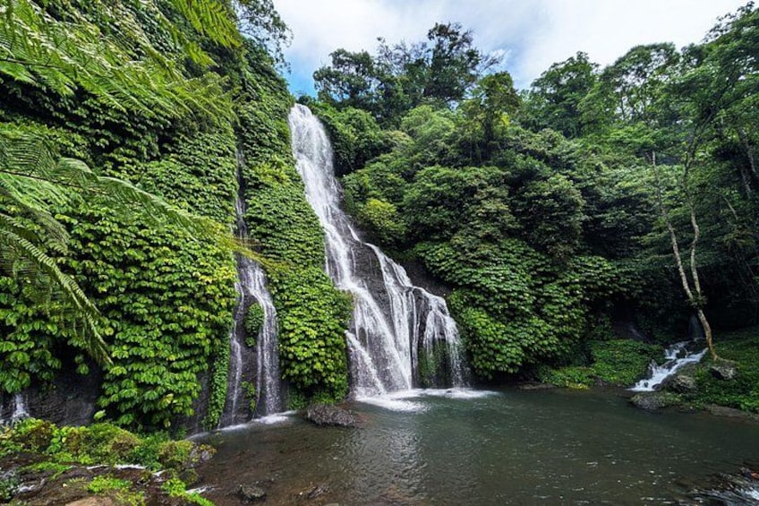 Una cascata circondata da vegetazione lussureggiante. 2