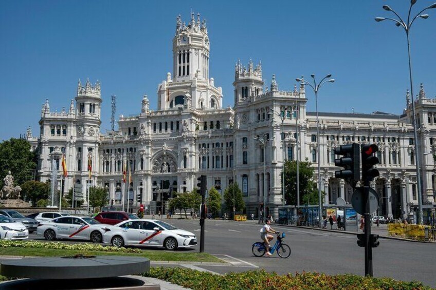 Madrid Private Tour with Driver 5