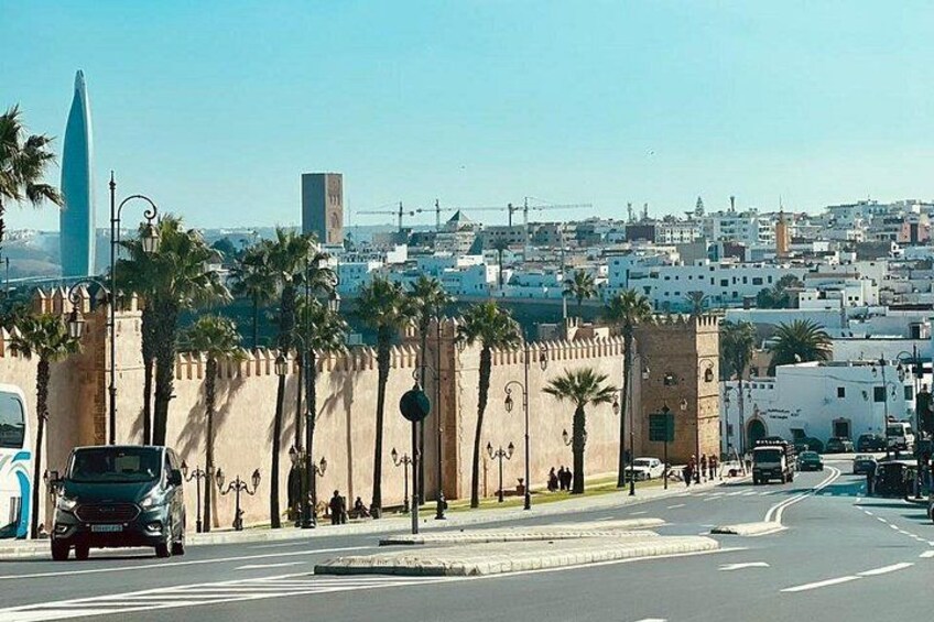 A city street with palm trees, a tall tower, and a clear blue sky. 4