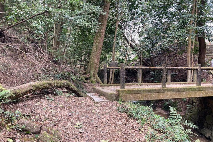Shirakawa Woodland 4