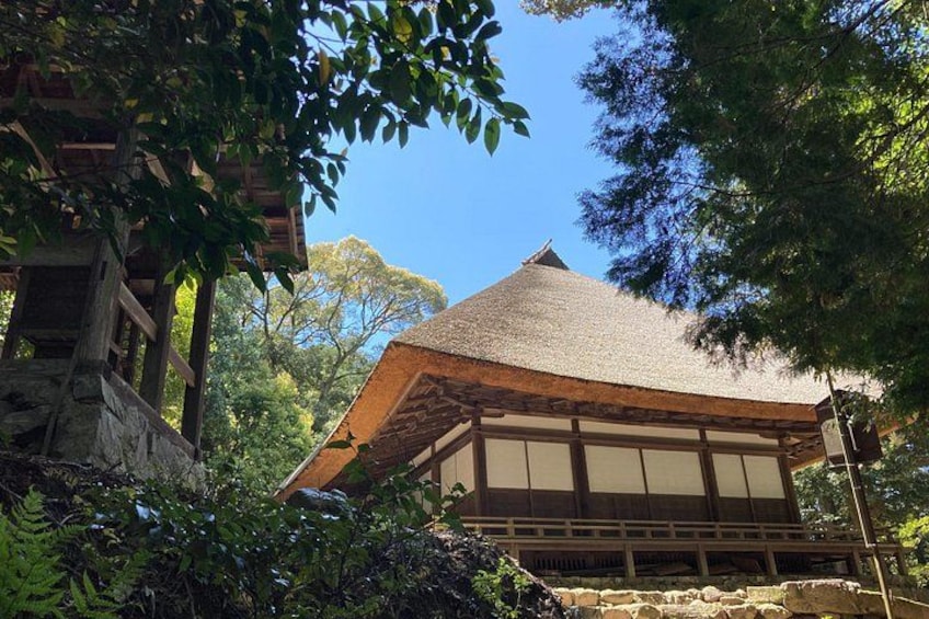Hakusan Shrine 5