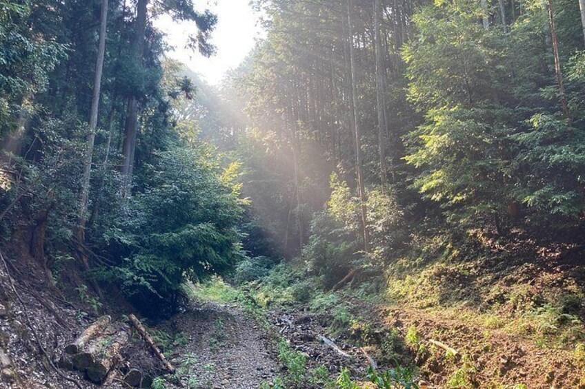 Uji Hills trekking routes 3