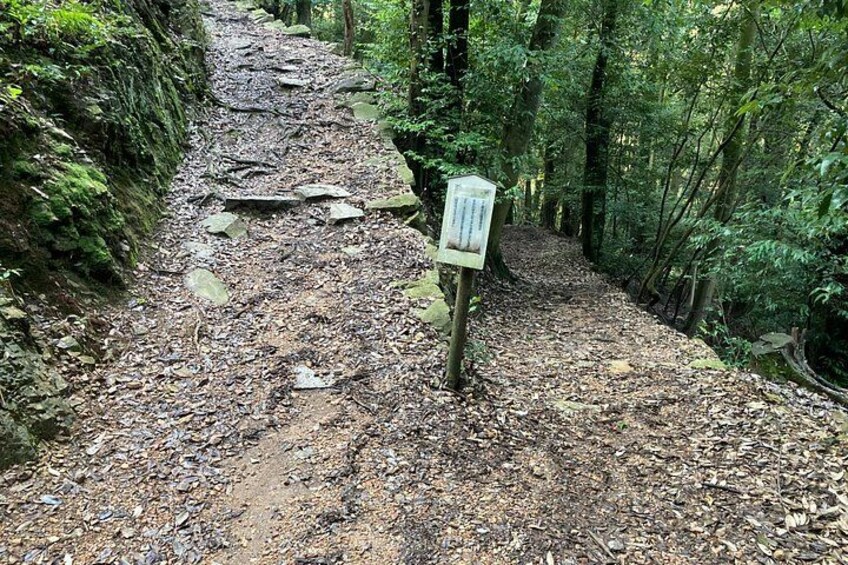 Uji Hills trekking route 3