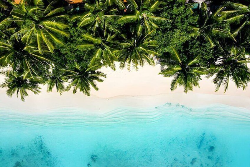 Ein Strand mit klarem türkisblauem Wasser, weißem Sand und Palmen. 3