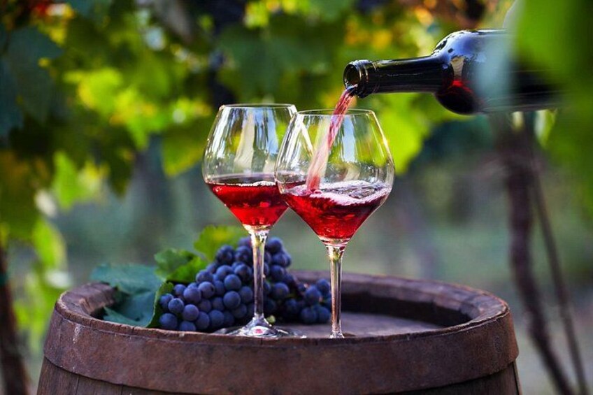 Groot Constantia Wine Tasting With Return Transport 4