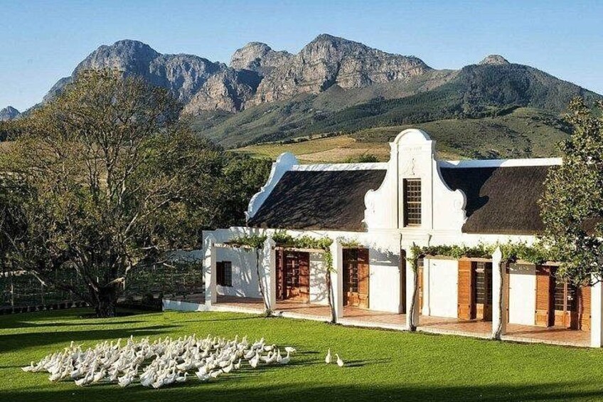 Groot Constantia Wine Tasting With Return Transport 3
