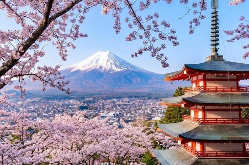 Une pagode, des fleurs de cerisier et le mont Fuji. 1