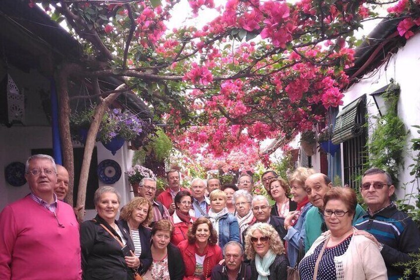 Un grupo de personas de pie bajo un árbol en flor en una calle estrecha. 2