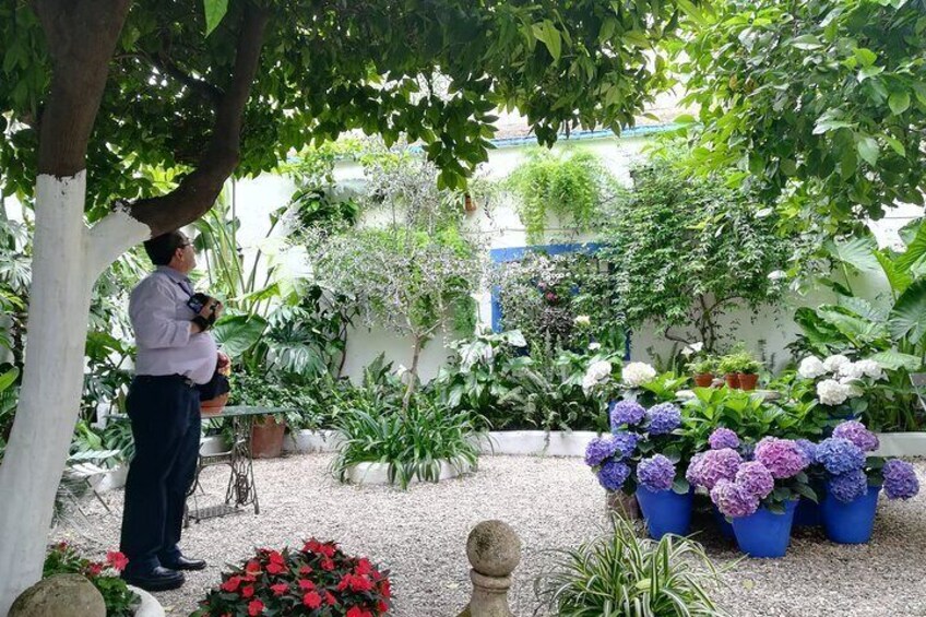 Un hombre sostiene a un niño en un jardín con plantas y flores en macetas. 5