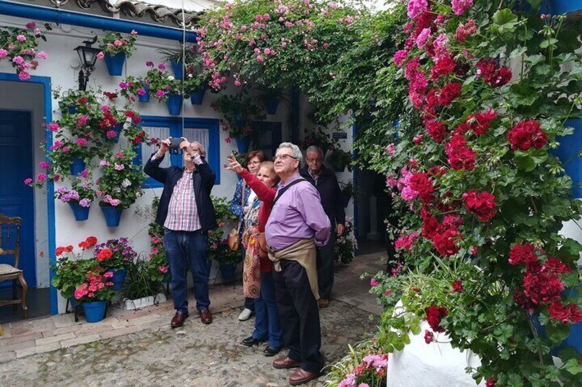 Un grupo de personas de pie en un patio con una puerta azul y plantas en macetas. 4