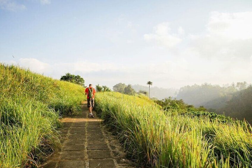 A person hiking on a stone path surrounded by tall grass and trees. 1