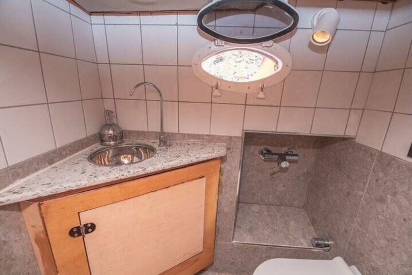 Une salle de bain avec un lavabo, des toilettes et une douche. 3
