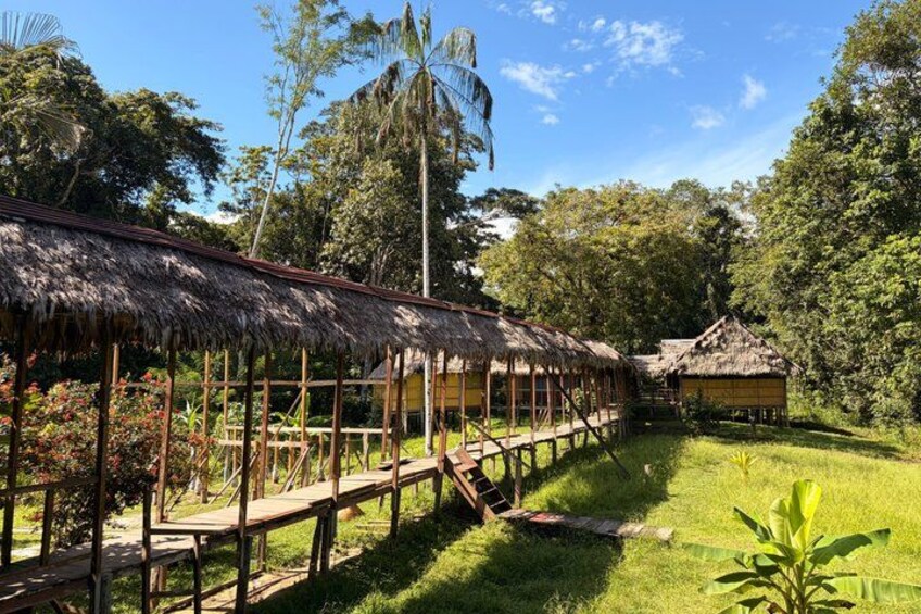 A thatched-roof structure with a wooden walkway. 3