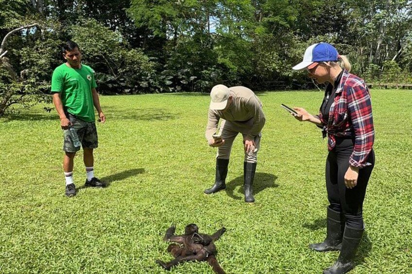 Iquitos: Amazon Wildlife Tours Lodge Stay 3days 2nights 2