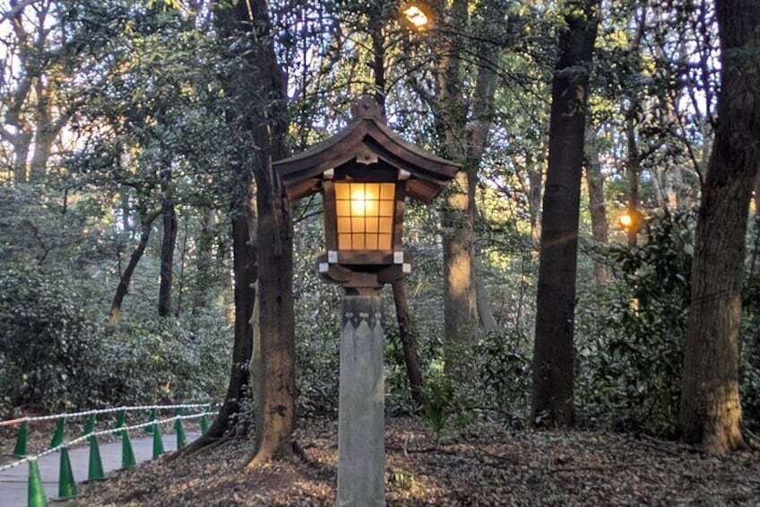 A traditional Japanese lantern in a forested area with a rope barrier. 2