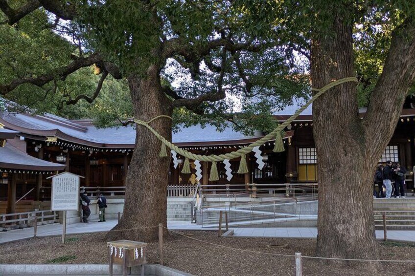 A traditional Japanese building with large trees and a rope decoration. 4