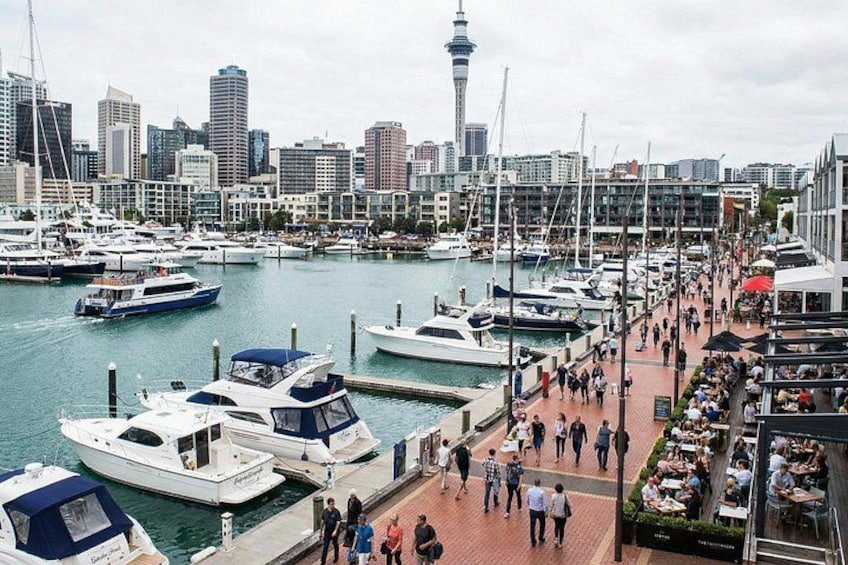 Auckland to Volcanoes: North Island Self-Guided Adventure 1