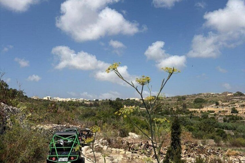 Un vehículo todoterreno verde sobre un camino pedregoso, con vegetación escasa y cielo despejado. 5