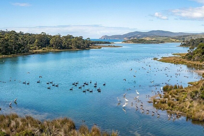 Bruny Island & The Margate Train: Food, Wildlife & Coastal View 3