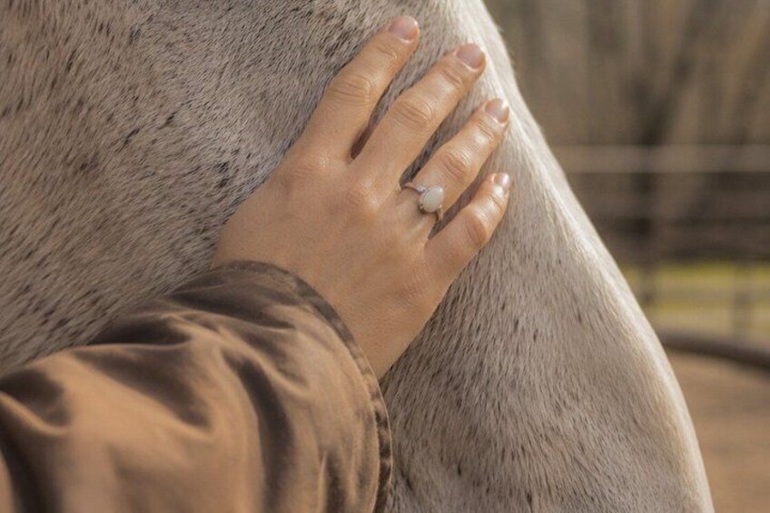 Guided Horseback Experience in Nature near Turin 5